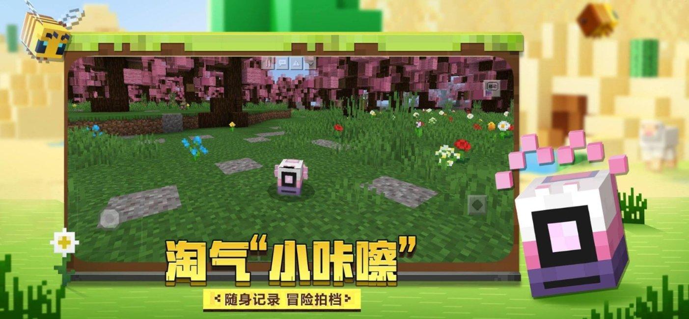 救援摄影师男孩
